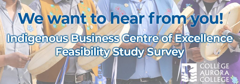 Indigenous Business Centre of Excellence Feasibility Study Survey