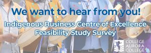 Indigenous Business Centre of Excellence Feasibility Study Survey