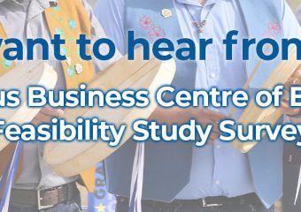 Indigenous Business Centre of Excellence Feasibility Study Survey