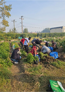 South Slave Research Centre: Growing Food Capacity and Resilience in Changing Times