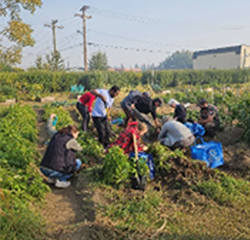 South Slave Research Centre: Growing Food Capacity and Resilience in Changing Times