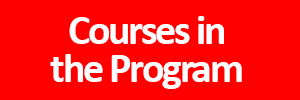 Courses in the Program